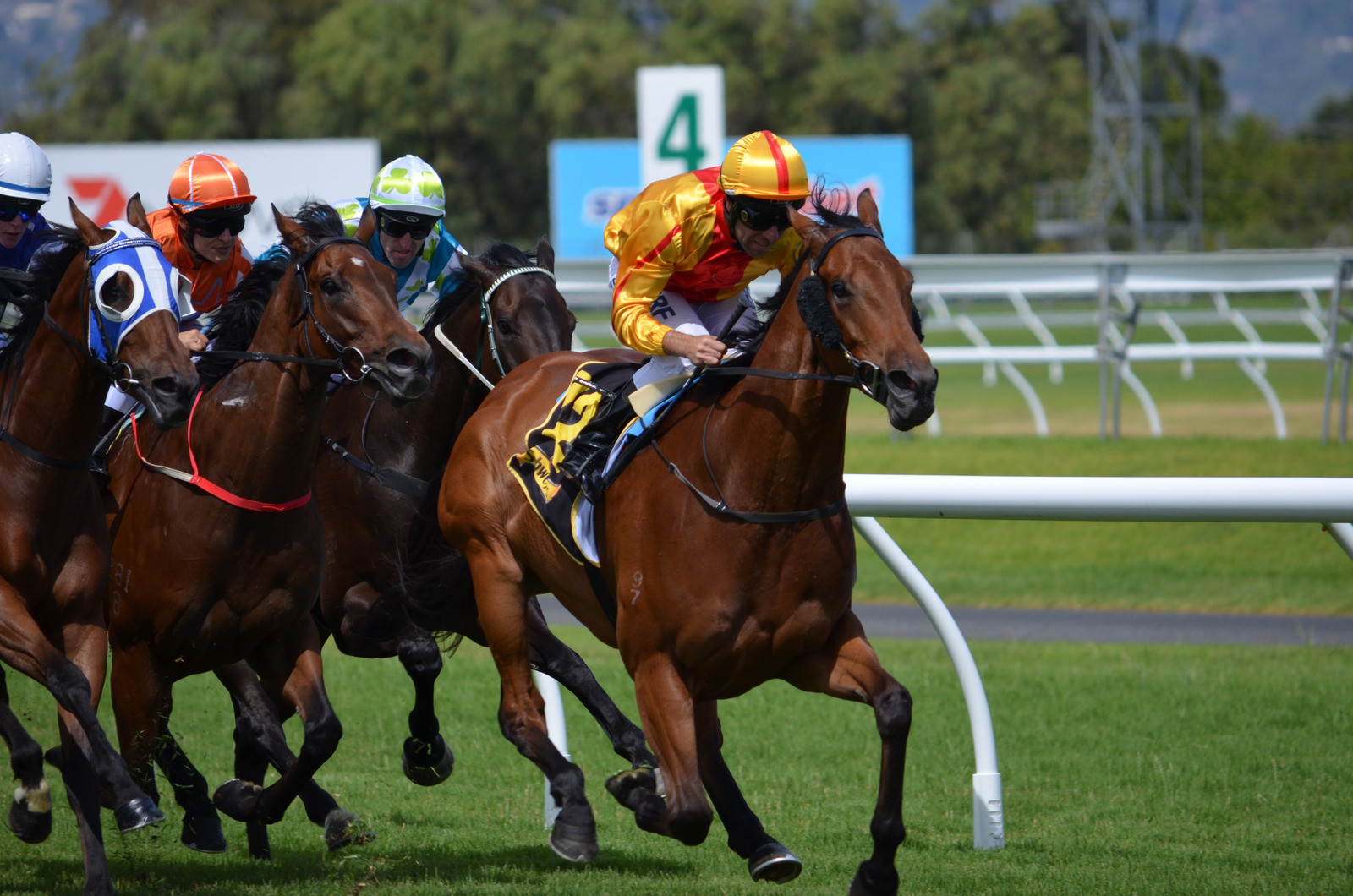 horseracing Horseracing